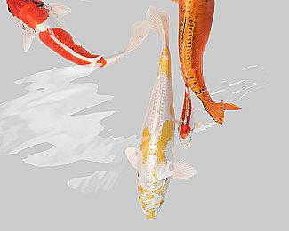 《战争机器：重装上阵》高清截图 这画面还不错